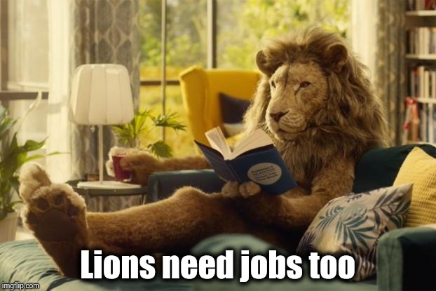 Lion relaxing | Lions need jobs too | image tagged in lion relaxing | made w/ Imgflip meme maker