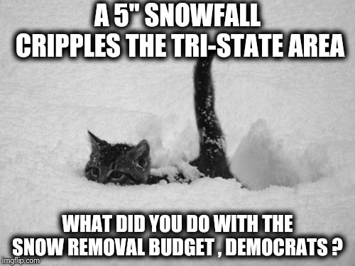 Not proud of having the most corrupt Politicians in the country | A 5" SNOWFALL CRIPPLES THE TRI-STATE AREA; WHAT DID YOU DO WITH THE SNOW REMOVAL BUDGET , DEMOCRATS ? | image tagged in snow cat,new york,we're all doomed,blizzard,politicians suck,arrogant rich man | made w/ Imgflip meme maker