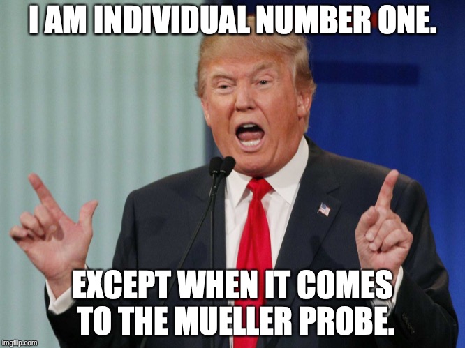 Donald Trump | I AM INDIVIDUAL NUMBER ONE. EXCEPT WHEN IT COMES TO THE MUELLER PROBE. | image tagged in donald trump | made w/ Imgflip meme maker