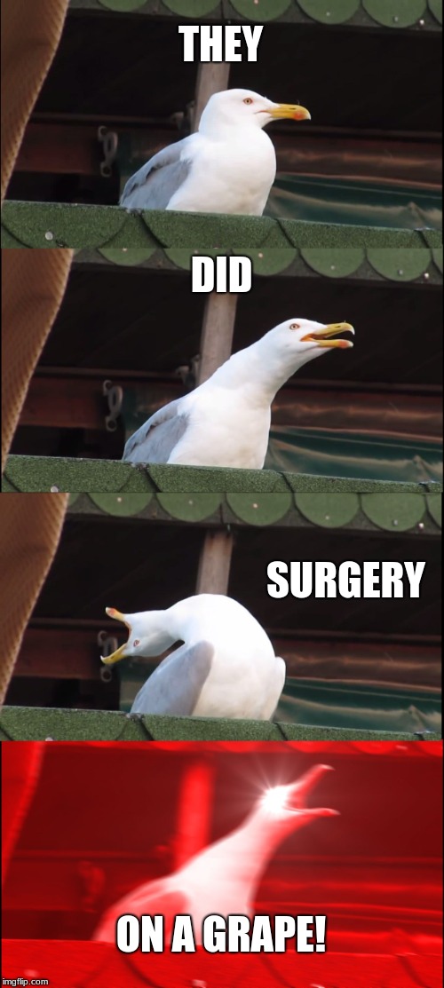 somebody on tik tok did surgery on a baby tomato | THEY; DID; SURGERY; ON A GRAPE! | image tagged in memes,inhaling seagull | made w/ Imgflip meme maker