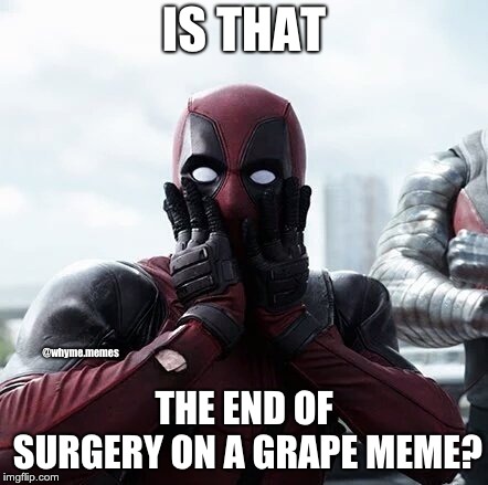 Deadpool Surprised | IS THAT; @whyme.memes; THE END OF SURGERY ON A GRAPE MEME? | image tagged in memes,deadpool surprised | made w/ Imgflip meme maker