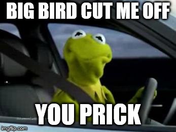 sad kermit | BIG BIRD CUT ME OFF; YOU PRICK | image tagged in sad kermit,kermit the frog meme,kermit driving,kermit driver,kermit funny,annoyed kermit | made w/ Imgflip meme maker