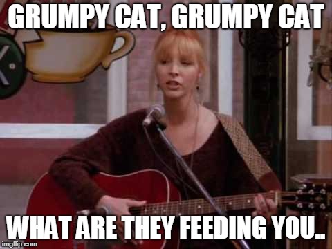 Phoebe singing smelly cat | GRUMPY CAT, GRUMPY CAT WHAT ARE THEY FEEDING YOU.. | image tagged in phoebe singing smelly cat | made w/ Imgflip meme maker