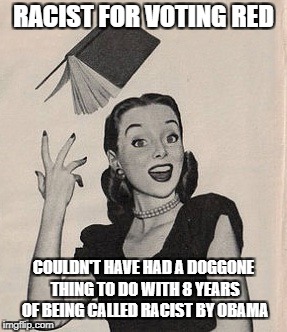 Throwing book vintage woman | RACIST FOR VOTING RED; COULDN'T HAVE HAD A DOGGONE THING TO DO WITH 8 YEARS OF BEING CALLED RACIST BY OBAMA | image tagged in throwing book vintage woman | made w/ Imgflip meme maker