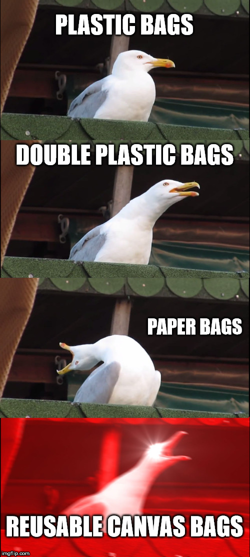 Thug Life in the Grocery Store | PLASTIC BAGS; DOUBLE PLASTIC BAGS; PAPER BAGS; REUSABLE CANVAS BAGS | image tagged in memes,inhaling seagull,grocery store,groceries,shopping,christmas shopping | made w/ Imgflip meme maker