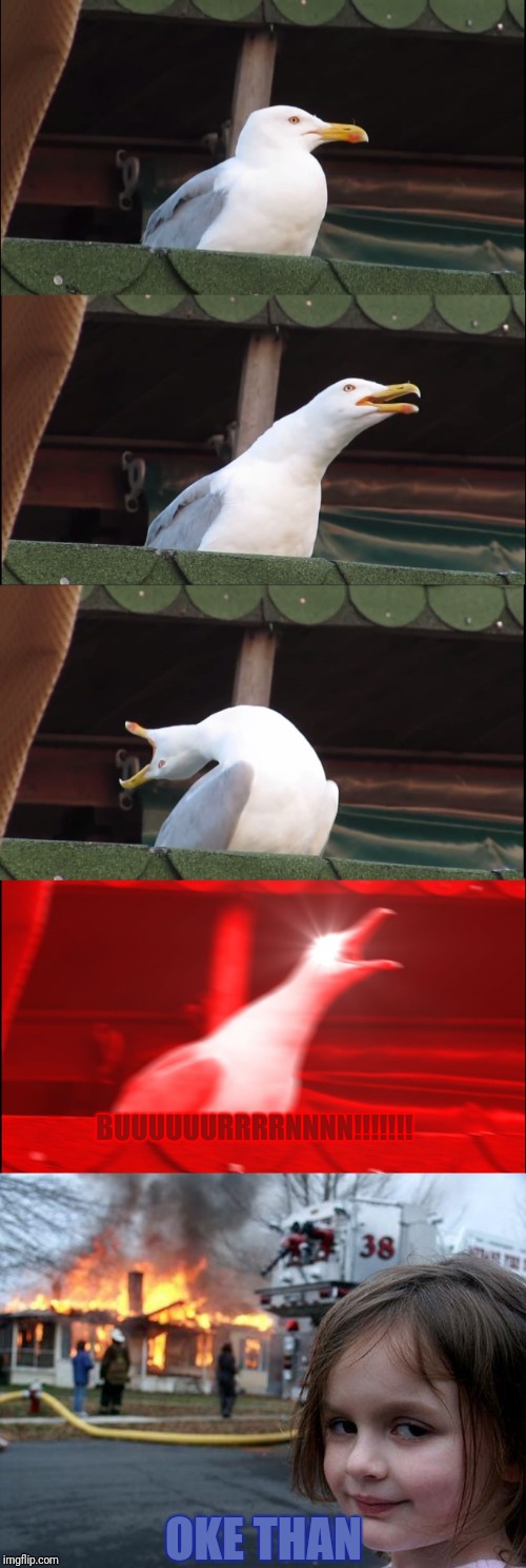 BUUUUUURRRRNNNN!!!!!!! OKE THAN | image tagged in memes,disaster girl,inhaling seagull | made w/ Imgflip meme maker