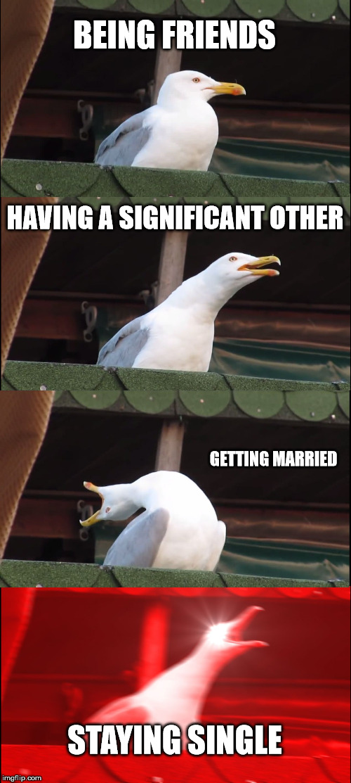 Relationship Priorities | BEING FRIENDS; HAVING A SIGNIFICANT OTHER; GETTING MARRIED; STAYING SINGLE | image tagged in memes,inhaling seagull,relationships,relationship goals,relationship status,relationship memes | made w/ Imgflip meme maker