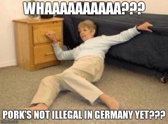 woman falling in shock | WHAAAAAAAAAA??? PORK'S NOT ILLEGAL IN GERMANY YET??? | image tagged in woman falling in shock | made w/ Imgflip meme maker