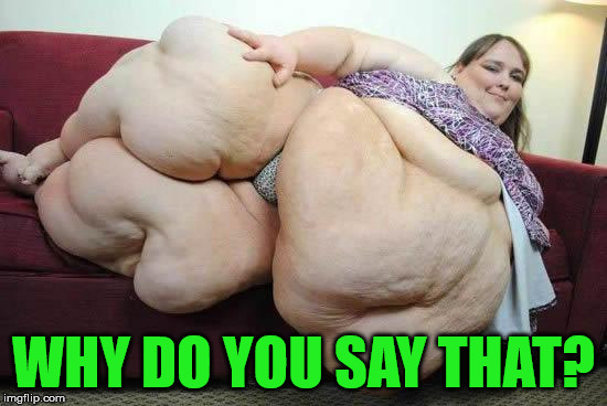 fat girl | WHY DO YOU SAY THAT? | image tagged in fat girl | made w/ Imgflip meme maker