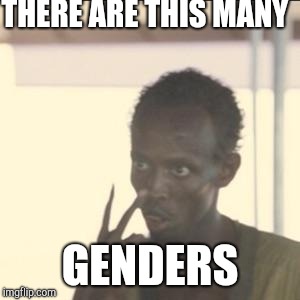 Look At Me | THERE ARE THIS MANY; GENDERS | image tagged in memes,look at me | made w/ Imgflip meme maker