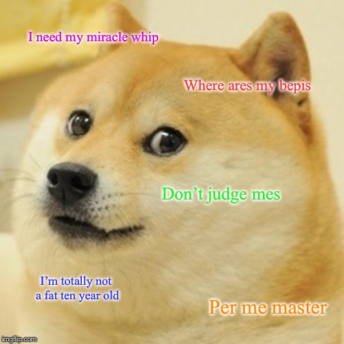 Doge | I need my miracle whip; Where ares my bepis; Don’t judge mes; I’m totally not a fat ten year old; Per me master | image tagged in memes,doge | made w/ Imgflip meme maker