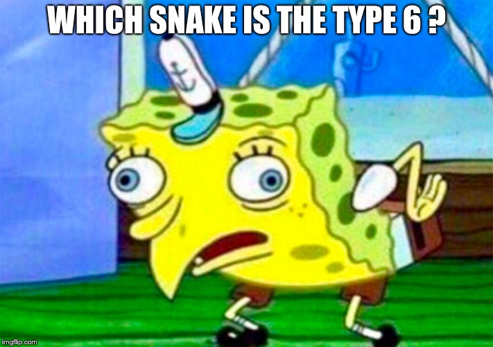 Retarded Spongebob | WHICH SNAKE IS THE TYPE 6 ? | image tagged in retarded spongebob | made w/ Imgflip meme maker