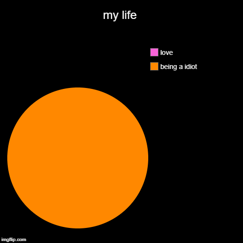 my life | being a idiot, love | image tagged in funny,pie charts | made w/ Imgflip chart maker
