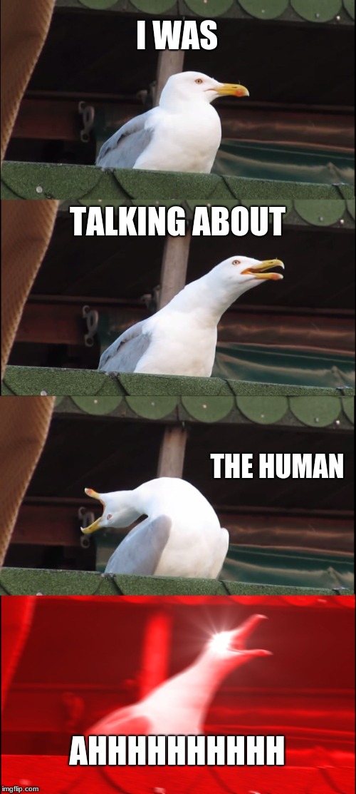 Inhaling Seagull Meme | I WAS TALKING ABOUT THE HUMAN AHHHHHHHHHH | image tagged in memes,inhaling seagull | made w/ Imgflip meme maker