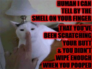 THAT YOU'VE BEEN SCRATCHING YOUR BUTT & YOU DIDN'T WIPE ENOUGH WHEN YOU POOPED; HUMAN I CAN TELL BY THE SMELL ON YOUR FINGER | image tagged in you forgot to wipe | made w/ Imgflip meme maker