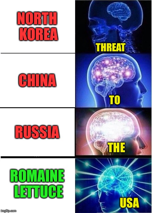 I might have mixed up a couple of these. | NORTH KOREA; THREAT; CHINA; TO; RUSSIA; THE; ROMAINE LETTUCE; USA | image tagged in memes,expanding brain,lettuce,funny | made w/ Imgflip meme maker