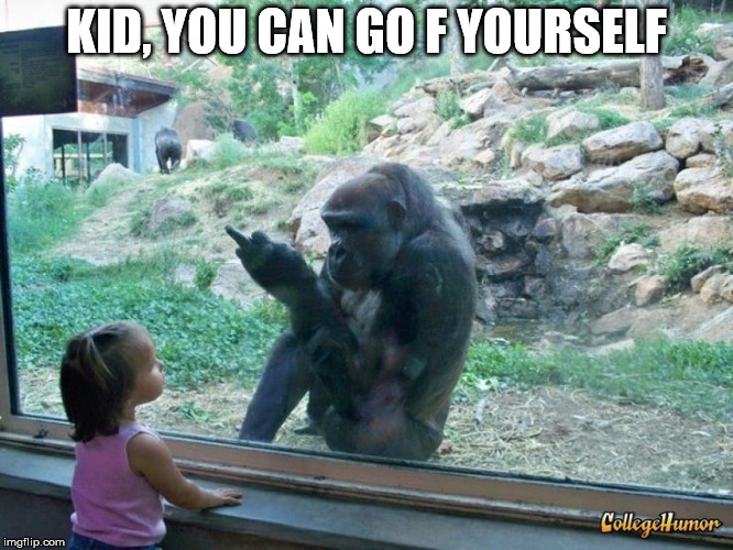 Gorilla Flipping Bird | KID, YOU CAN GO F YOURSELF | image tagged in gorilla flipping bird | made w/ Imgflip meme maker