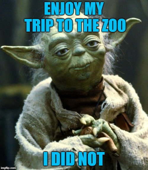 Star Wars Yoda Meme | ENJOY MY TRIP TO THE ZOO I DID NOT | image tagged in memes,star wars yoda | made w/ Imgflip meme maker