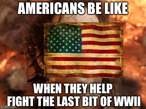 AMERICANS BE LIKE; WHEN THEY HELP FIGHT THE LAST BIT OF WWII | image tagged in america,ww2,its finally over,frodo | made w/ Imgflip meme maker