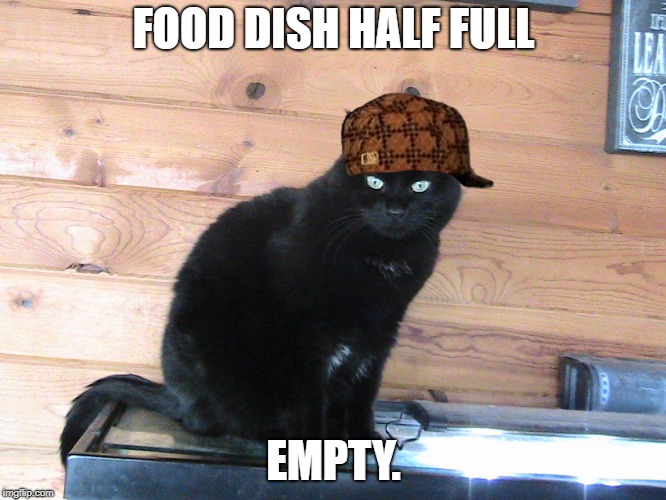 FOOD DISH HALF FULL; EMPTY. | image tagged in gangsta cat,scumbag | made w/ Imgflip meme maker