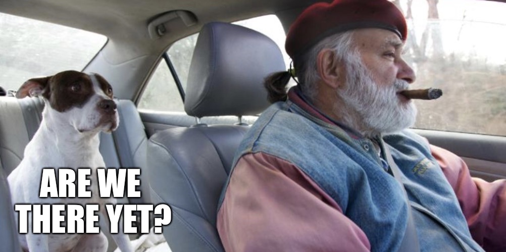 ARE WE THERE YET? | image tagged in driving roshi,memes,imgflip,meanwhile on imgflip,rip roshi bernie glassman | made w/ Imgflip meme maker