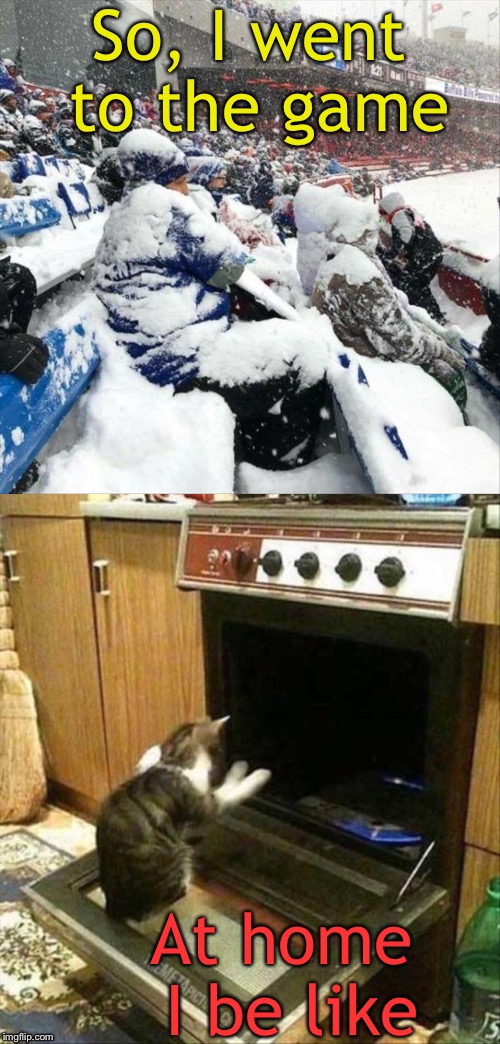 Ahhhhh! |  So, I went to the game; At home I be like | image tagged in freezing,oven,cat,memes,funny | made w/ Imgflip meme maker