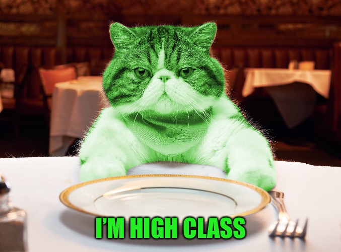 RayCat Hungry | I’M HIGH CLASS | image tagged in raycat hungry | made w/ Imgflip meme maker