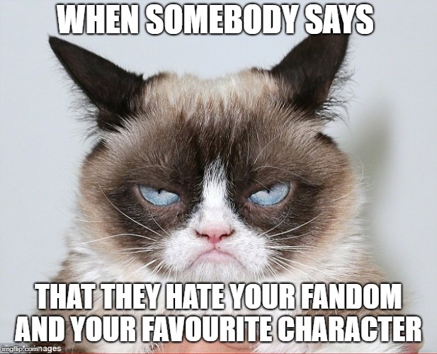 hate you | WHEN SOMEBODY SAYS; THAT THEY HATE YOUR FANDOM AND YOUR FAVOURITE CHARACTER | image tagged in hate you | made w/ Imgflip meme maker