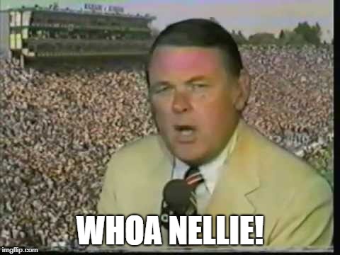 WHOA NELLIE! | made w/ Imgflip meme maker