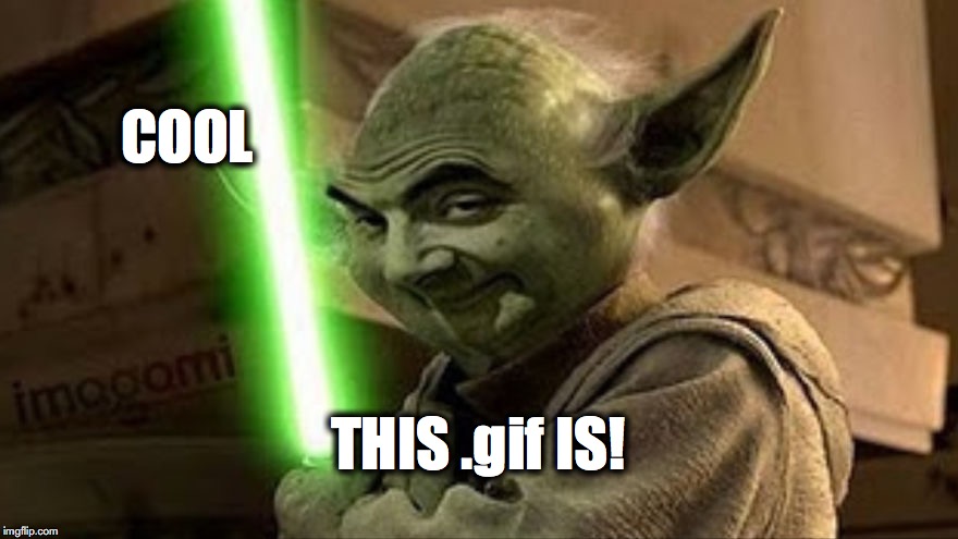 bean yoda | COOL THIS .gif IS! | image tagged in bean yoda | made w/ Imgflip meme maker