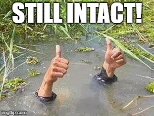 FLOODING THUMBS UP | STILL INTACT! | image tagged in flooding thumbs up | made w/ Imgflip meme maker