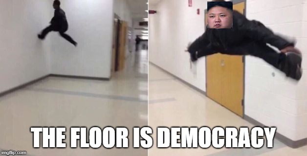 The floor is | THE FLOOR IS DEMOCRACY | image tagged in the floor is | made w/ Imgflip meme maker