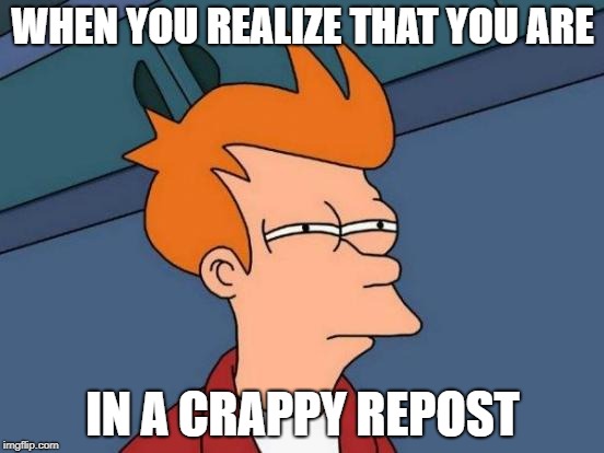 This is (not) a crappy repost, this is your monthly wage gone. | WHEN YOU REALIZE THAT YOU ARE; IN A CRAPPY REPOST | image tagged in memes,futurama fry | made w/ Imgflip meme maker