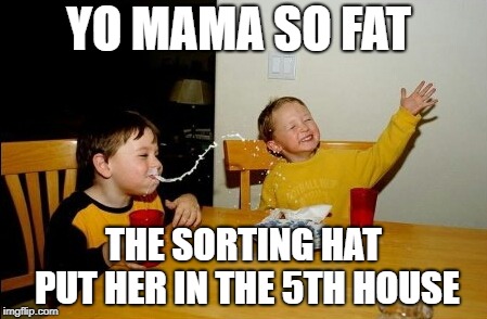 Yo Mamas So Fat | YO MAMA SO FAT; THE SORTING HAT PUT HER IN THE 5TH HOUSE | image tagged in memes,yo mamas so fat | made w/ Imgflip meme maker
