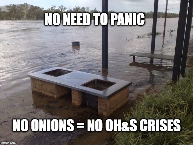 NO NEED TO PANIC; NO ONIONS = NO OH&S CRISES | image tagged in bbq | made w/ Imgflip meme maker