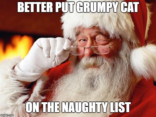 santa | BETTER PUT GRUMPY CAT; ON THE NAUGHTY LIST | image tagged in santa | made w/ Imgflip meme maker