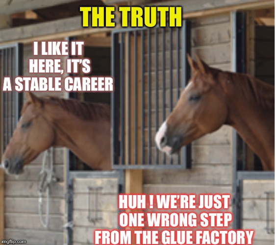 I LIKE IT HERE, IT’S A STABLE CAREER HUH ! WE’RE JUST ONE WRONG STEP FROM THE GLUE FACTORY THE TRUTH | made w/ Imgflip meme maker