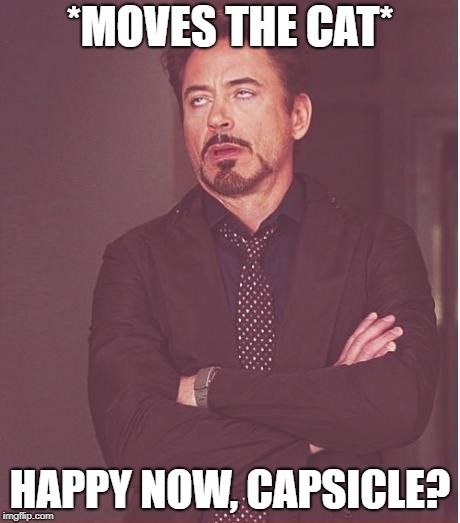 Face You Make Robert Downey Jr Meme | *MOVES THE CAT* HAPPY NOW, CAPSICLE? | image tagged in memes,face you make robert downey jr | made w/ Imgflip meme maker