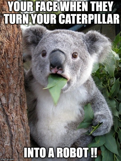 Surprised Koala Meme | YOUR FACE WHEN THEY TURN YOUR CATERPILLAR; INTO A ROBOT !! | image tagged in memes,surprised coala | made w/ Imgflip meme maker