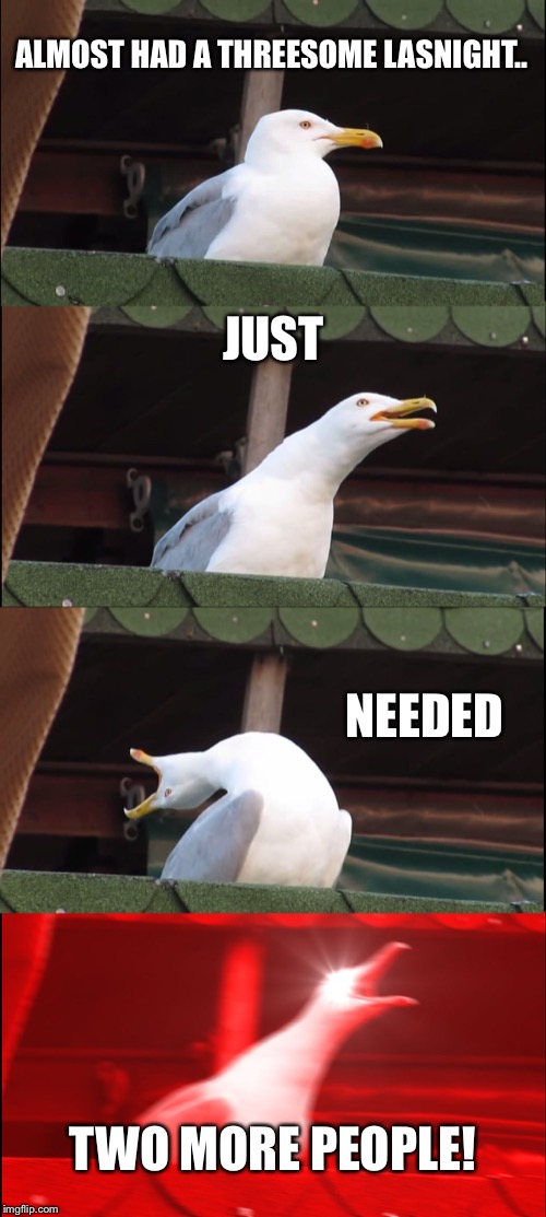 Almost had a... | ALMOST HAD A THREESOME LASNIGHT.. JUST; NEEDED; TWO MORE PEOPLE! | image tagged in memes,inhaling seagull,threesome | made w/ Imgflip meme maker