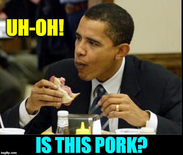 Catching Yourself Before Swallowing | UH-OH! IS THIS PORK? | image tagged in vince vance,pork,muslim,bacon,barack obama,obama eating | made w/ Imgflip meme maker