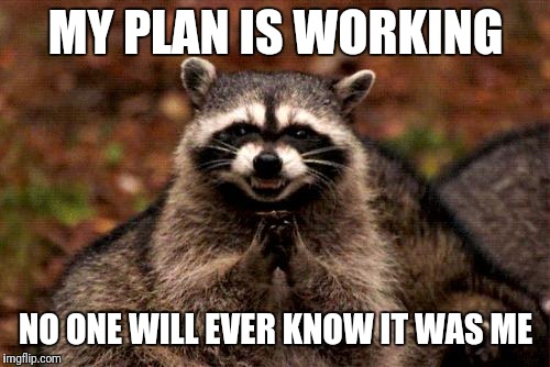 Evil Plotting Raccoon Meme | MY PLAN IS WORKING NO ONE WILL EVER KNOW IT WAS ME | image tagged in memes,evil plotting raccoon | made w/ Imgflip meme maker