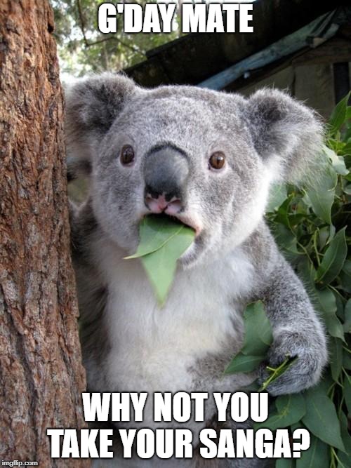 Surprised Koala | G'DAY MATE; WHY NOT YOU TAKE YOUR SANGA? | image tagged in memes,surprised koala | made w/ Imgflip meme maker