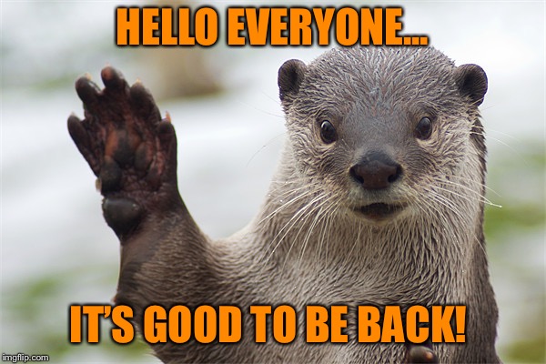 It’s good to be back...I missed you all ♥️ | HELLO EVERYONE... IT’S GOOD TO BE BACK! | image tagged in welcome back otter | made w/ Imgflip meme maker