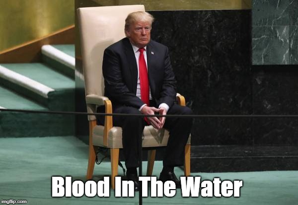 Blood In The Water | made w/ Imgflip meme maker