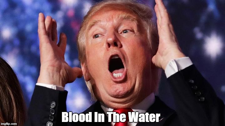 Blood In The Water | made w/ Imgflip meme maker