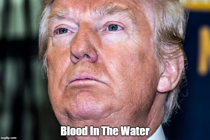 Blood In The Water | made w/ Imgflip meme maker