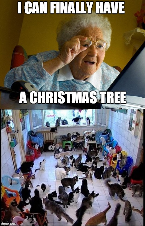 I CAN FINALLY HAVE A CHRISTMAS TREE | image tagged in memes,grandma finds the internet,crazy cat lady | made w/ Imgflip meme maker