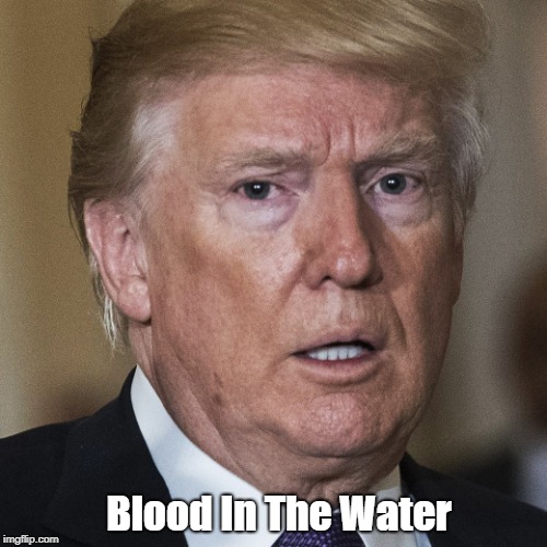 Blood In The Water | made w/ Imgflip meme maker