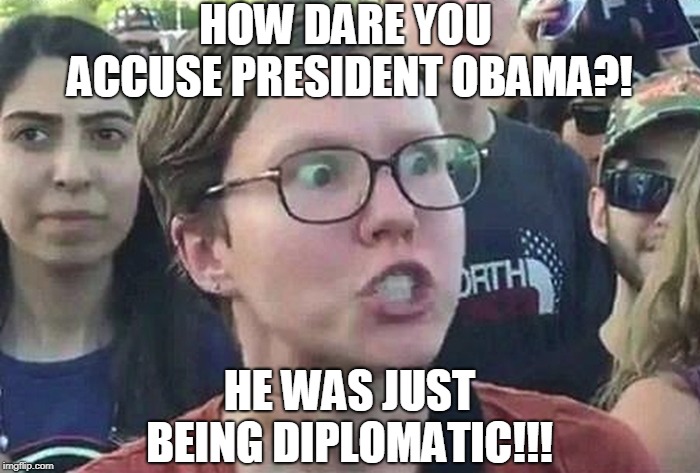 Triggered Liberal | HOW DARE YOU ACCUSE PRESIDENT OBAMA?! HE WAS JUST BEING DIPLOMATIC!!! | image tagged in triggered liberal | made w/ Imgflip meme maker